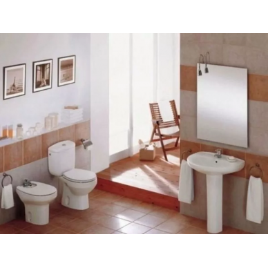 Раковина Roca Victoria (327395000) 52 см 1