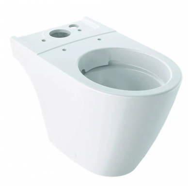 Чаша для напольного унитаза Geberit iCon Rimfree (200460) 5