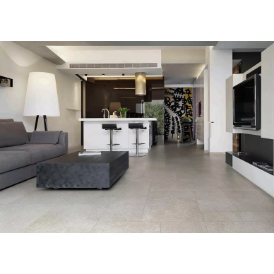 Contempora 6