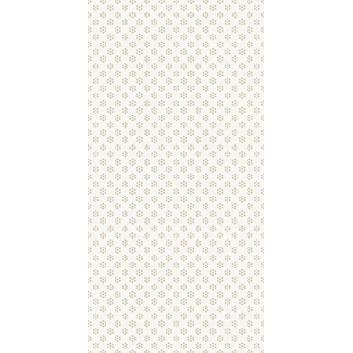 00-00-5-10-00-00-910 Золотой белый 25х50 0