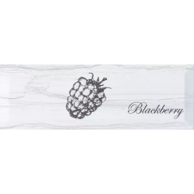 Decor Fruit Laguna Blackberry 10x30 0