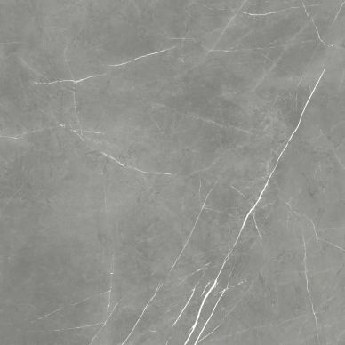 610010002718 Forte dei Marmi Elegant Grey Rett 80x80 0