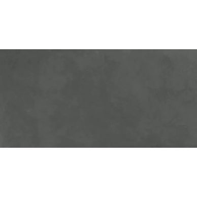 SG50001220R Evolution Gris серый матовый 60x119,5 0