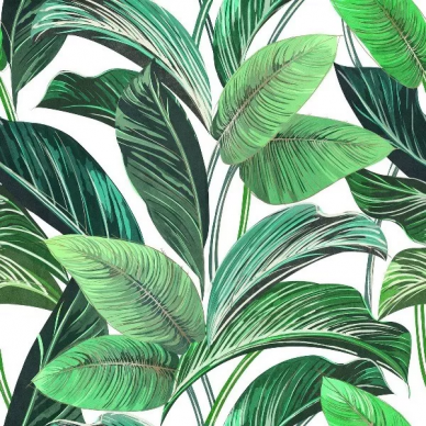 Showall White Leaf (set 2 pz) 120x120 0
