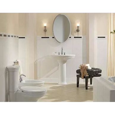 Чаша для напольного унитаза Villeroy & Boch Amadea (769510R2) 2