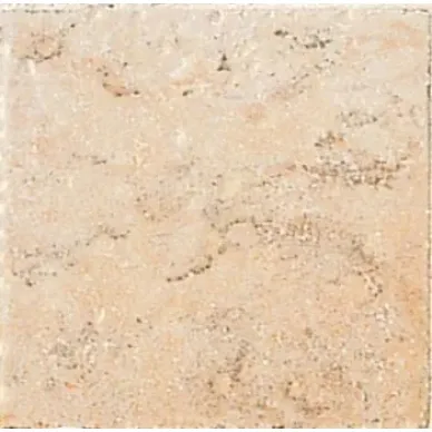 1007324 ANTIQUA AMBRA 10x10 0
