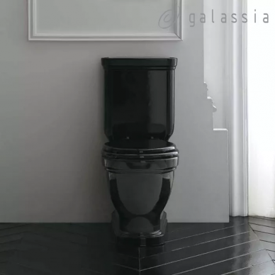 Чаша для напольного унитаза Galassia Ethos (8441NE) черный 5