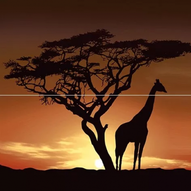 Панно Africa P2-1D210 40х40 0
