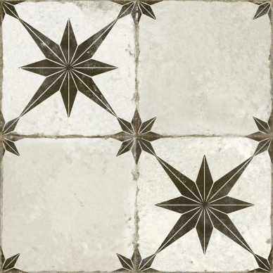 28148 FS Star Ara Black 45x45 0