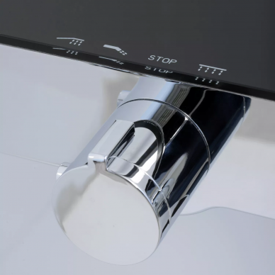 Душевая система Wasserkraft Thermo (A11401) черный 7