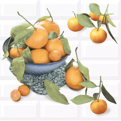 583012024 Панно Vogue Citrus 2 40.2х40.5 0