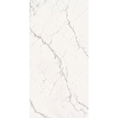 ARMONIA Silver Full Lappato 60x120 0
