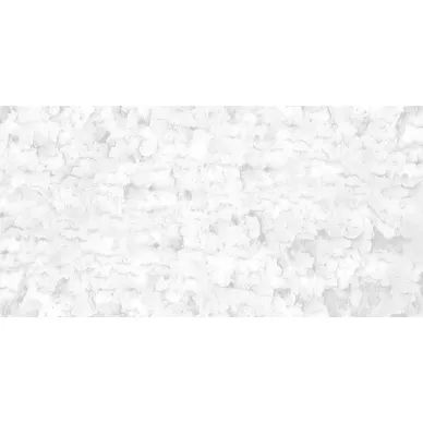 FERRUM NACAR NATURAL 50х100 0
