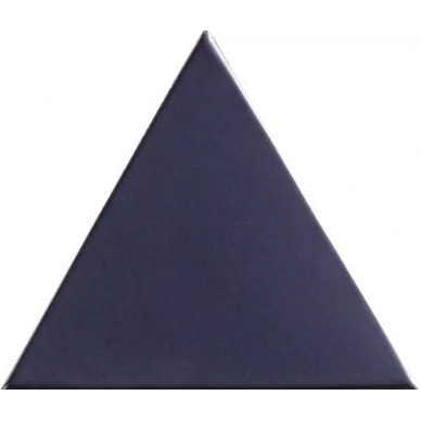 N00024 FIGURES TRIANGLE BLEU 15.9x18 0