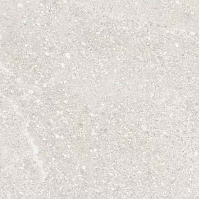 SG646320R Pallada светло-серый обрезной 60х60 0