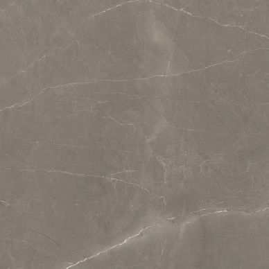 Splash Grey серый 60х60 0