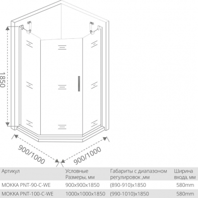 Душевой уголок Good Door Mokka PNT-100-C-WE (100x100) профиль белый/стекло прозрачное 2