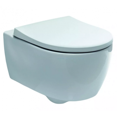 Чаша подвесного унитаза Geberit iCon Rimfree (204060) 5