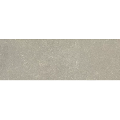 762101 ESPRIT DE REX NEUTRAL GRIS RET 60X240 0