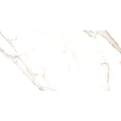 64989 Puro Rettificato 60x120 0