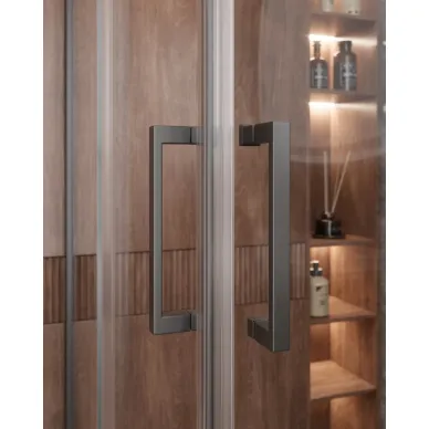 Душевой уголок Cezares Molveno MOLVENO-A-22-100+20-C-GM-IV 120х120 профиль оружейная сталь/стекло прозрачное 2