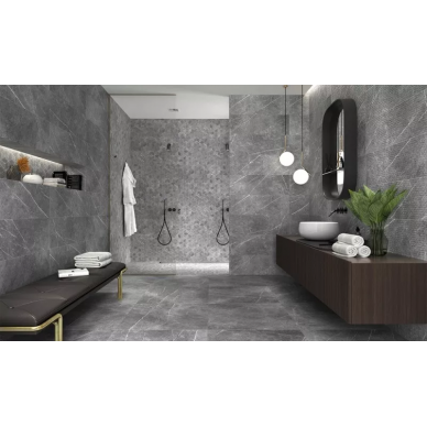 Inary 6