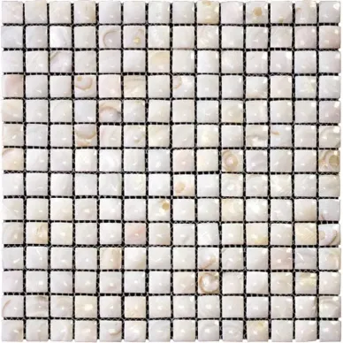 SME-01-20 Ракушка 20x20 305x305 0