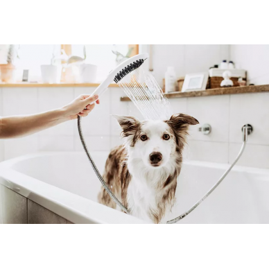 Ручной душ Hansgrohe DogShower (26640540) для собак, бирюзовый 7