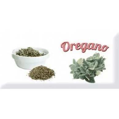 n009306 Decor modern oregano 10x20 0