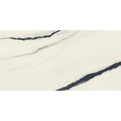 610015000656 Forte dei Marmi Panda White Rett Cer 60x120 0