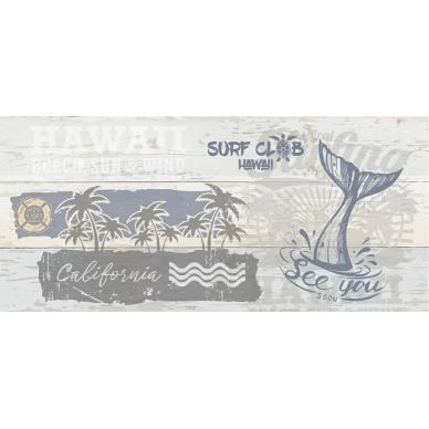 SRG451D Surf Многоцветный 44*20 0