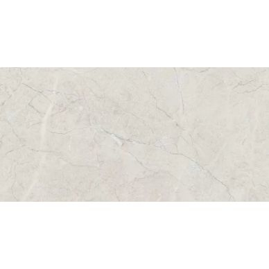 Burberry Dove светло-серый 60x120 0
