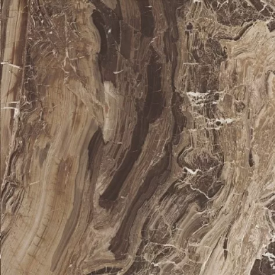 728956 I MARMI DI REX Marble Brown Luc 60x60 0