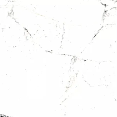 20577 TUCCI BLACK/P 60x60 0