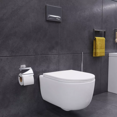 Чаша подвесного унитаза Damixa Sirius (DX86C1700SC) с сиденьем микролифт 5