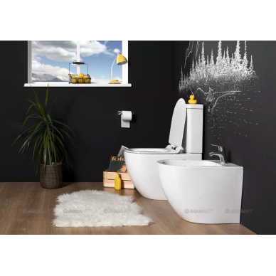 Чаша для напольного унитаза Aquanet Rimless Cetus (BL-102N-TPT) микролифт 7