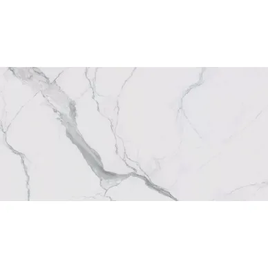 746605 I CLASSICI STATUARIO GLOSSY RET 6mm 120X240 0