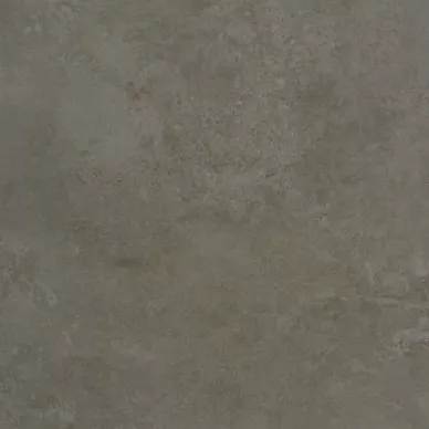 Evolution Moss Lappato 59.55x59.55 0