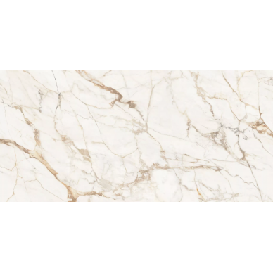 C229803501 Xlight Premium 120x250 Calacatta Gold Polished 0