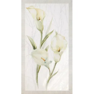 12428 FEMME D.CALAS/4/R 118x64 0
