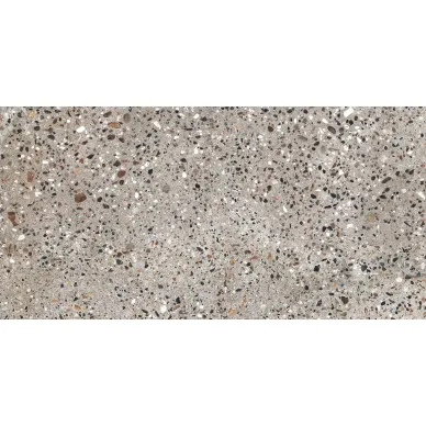 25660 FS VENECIA/30X60/R 0