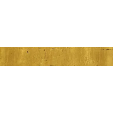 721745 Gold 10x60 0