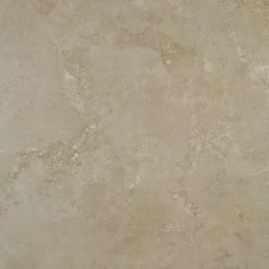 Evolution Vison Natural 59.55x59.55 0