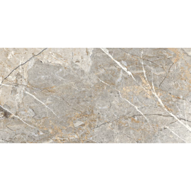 Fantastico Grey Granito Полированный 60х120 0