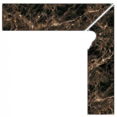 08855 MUSEUM Z.D.BACH-M/P 8x30 0