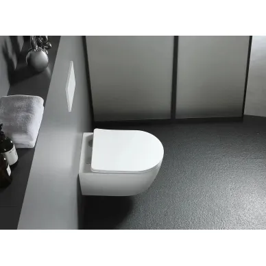 Подвесной унитаз Aquatek Европа (AQ1900-00) безободковый, с микролифтом 11