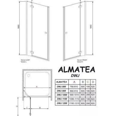 Душевая дверь Radaway Almatea DWJ (31302-01-01N) (100 см) прозрачное стекло (R) 2