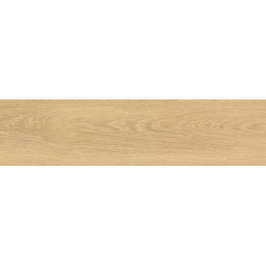 Madera янтарный SG706400R 20х80 0