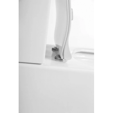 Чаша напольного унитаза BelBagno Acqua (BB340CPR) 6