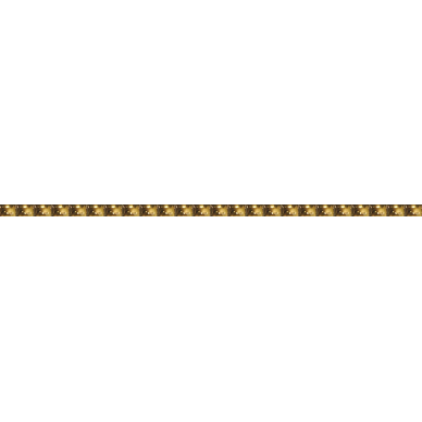 Capsule Gold 25x0.7 0